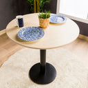 Birch Plywood Round Dining Table with Metal Tulip Leg