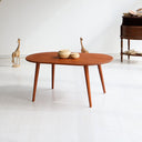 Modern Oval Coffee Table