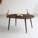 Modern Oval Coffee Table