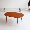 Modern Oval Coffee Table