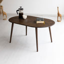 Modern Oval Coffee Table