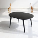 Modern Oval Coffee Table