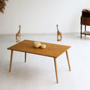 Modern Rectangular Wood Coffee Table