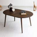 Modern Oval Coffee Table