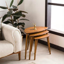 Nesting Coffee Table Set