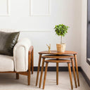 Nesting Coffee Table Set