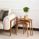 Nesting Coffee Table Set
