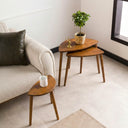 Nesting Coffee Table Set