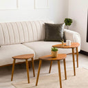Nesting Coffee Table Set