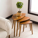 Nesting Coffee Table Set