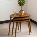 Nesting Coffee Table Set